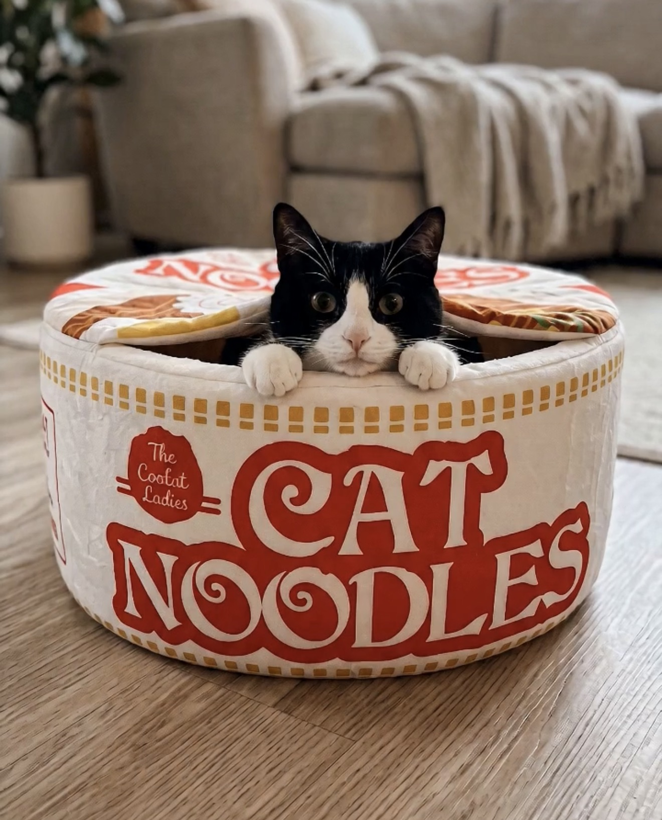 Snug Ramen™ — The Cozy Noodle Bed for Cats and Dogs